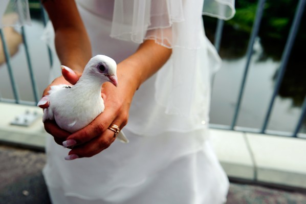 Kāzu foto